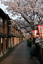 早朝散歩にての画像(写真)