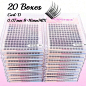 Wholesale 2/5/10/20Boxes 144PCS Long-Lasting Enlarged Double Eye Soft Faux Mink Grafting Skin-Friendly Lash C/D Curl 8-16MM Mix Length 0.07mm Thickness DIY Clusters Segmented Eyelash Extensiones For Beauty Makeup Supplies | SHEIN USA