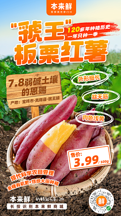 大羊腿采集到海报 长图