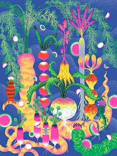 知识星球 | 深度连接铁杆粉丝，运营高品质社群，知识变现的工具