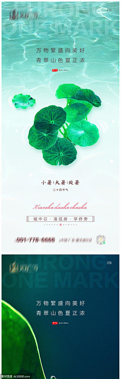 辣椒奶黄包采集到源文件PO