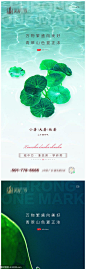 小暑大暑处暑系列海报