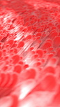 Behance :: 为您呈现