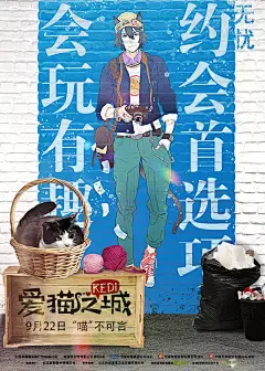 爱猫之城 Kedi 海报