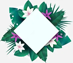 手绘夏日海报边框矢量图 热带 矢量图 绿植 背景 花环 元素 免抠png 设计图片 免费下载 页面网页 平面电商 创意素材