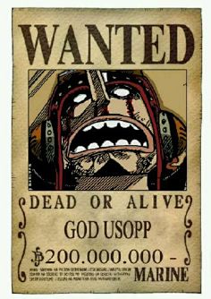 采集keim采集到one piece德雷斯罗萨后草帽一伙通缉令—娜美采集keim