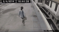 ShawnWang·王虓采集到gif