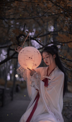 初衷♡采集到中国风