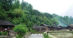 多图