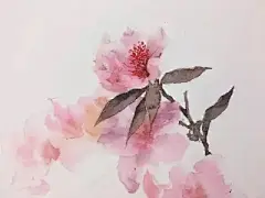 水彩---教程 - 高清图片，堆糖，美图壁纸兴趣社区