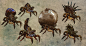 The Witcher 2 arachas, Bartlomiej  Gawel : Concept art for The Witcher Assassins of Kings game.