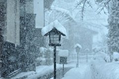 blue然采集到雪景