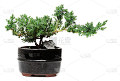 脆豆子采集到待归类采集