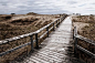 一片枯草上的木桥高清素材 木桥 枯草 背景 设计图片 免费下载