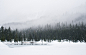 Snowshoeing on a snowy day at Gold Cr... | HD photo by Adam Chang (@sametomorrow) on Unsplash : Download this photo by Adam Chang (@sametomorrow)