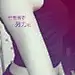 承影如画