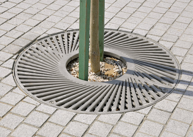 Tree Grilles : Tree ...