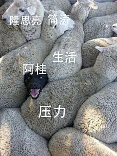 Superlow采集到表情包