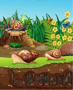 自然,景象,蜗牛,园林,地形,户外,绿色,洞,在下面,爬