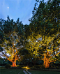 南宁市南湖公园夜景照明_LIGHT UP点亮照明网官网_设计师原创高质作品分享社区,照明设计专业资源平台|lightup,点亮社区