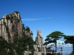 Lzwbianyuan采集到多图_花岗岩峰林盆景三