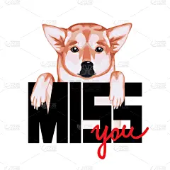 狗,t恤,文字,式样,可爱的,贺卡,背景分离,动物,儿童,小狗