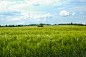 Green Field by Maurice Friedrichs on 500px