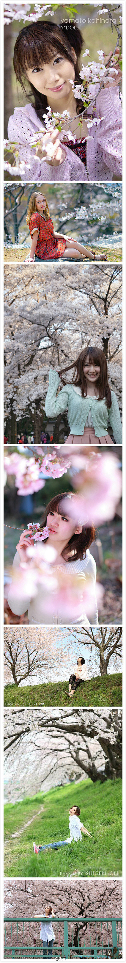 朱不二在网上找了一些樱花人像写真，给大家...
