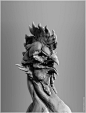 Rooster-mutant B&W, Dmitry Parkin : Rooster-mutant B&W by Dmitry Parkin on ArtStation.