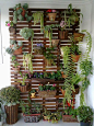 Vertical planter wall