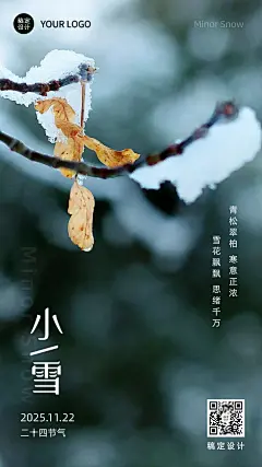 小雪节气祝福问候冬天实景手机海报