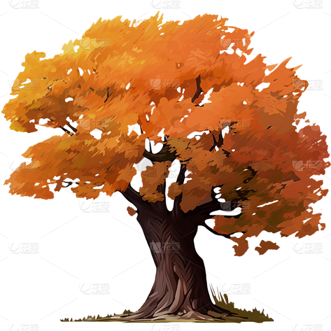 秋季秋天手绘插画植物树木