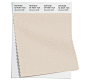 Pantone Color Swatch 12-4301