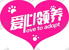 爱心领养 【酷图网】爱心领养,流浪动物,宠物海报,宠物美容,宠物交易,宠物买卖,宠物店,宠物狗,宠物猫,宠物犬,宠物店海报,宠物促销,宠物食品,宠物,宠物诊所,宠物广告,狗粮,保护宠物,宠物医院,宠物用品,宠物展板,宠物素材,宠物收养,宠物认领海报,宠物认领,流浪宠物,宠物赠送