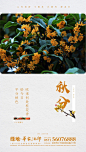 绿地-华家池印 地产微信 节气微信 秋分