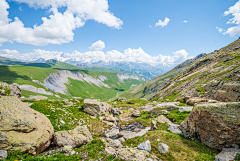 桂月铭采集到山