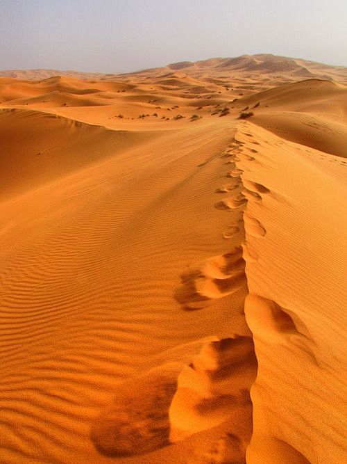 The Sahara Desert | ...