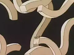 那些年我们看过的动漫美食——中华小当家篇 上 : 　　大家回忆童年，感受中华小当家那发光的料理！ 　　Dish.1 麻婆豆腐 　　集数：第2集 　　小当家的起源在四川，提到四川，最先想到的一定是麻婆豆腐，所以我们回顾的第一道菜就是四川美食届的代表——麻婆豆腐！ 