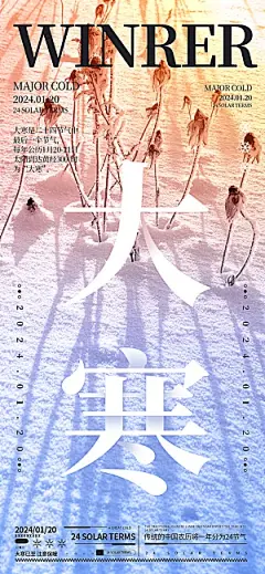 大寒节气推广宣传海报