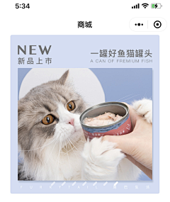 Maya_M采集到UI设计_宠物