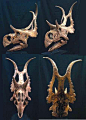 Diabloceratops is my favorite dinosaur. It's name means Devil Horned Head. Discovered in southern Utah in 2002.