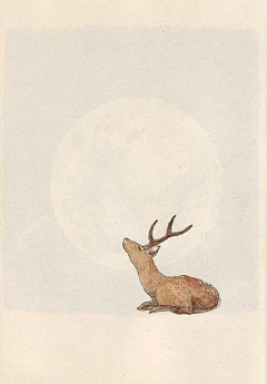 Charice采集到插画-动物-鹿