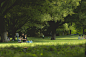 People, Park, Picnic, Grass, Asian, Asian Families