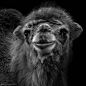 kiss me by Wolf Ademeit on 500px