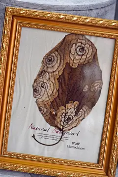 微博 – 随时随地发现新鲜事