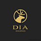 DIA控股Logo设计