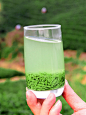 信阳毛尖2019新茶明前茶叶特级嫩芽毛尖茶绿茶春茶散装礼盒装250g-淘宝网