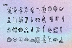 480幅文艺复兴历史人物动物植物手绘线稿版画海报ai矢量设计素材 Prodigiorum Naturae – Illustrations插图15