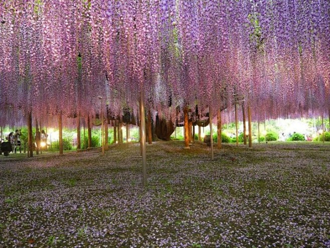 The Most Beautiful W...