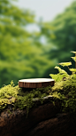 自然简约场景 (17)